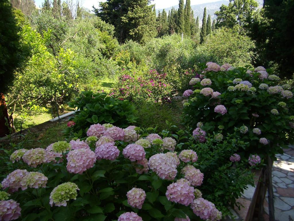 Villa Galini Сівота Екстер'єр фото